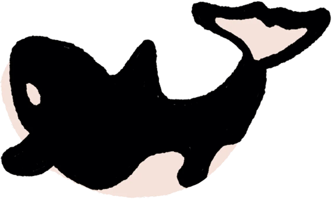 シャチのイラスト